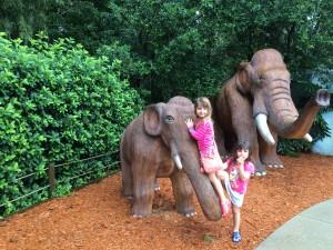 Os mamutes- de todos os tamanhos- tem uma área especial só pra eles! E as crianças adoram!