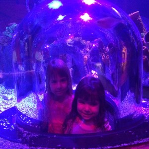 Que delícia se sentir dentro do aquário!